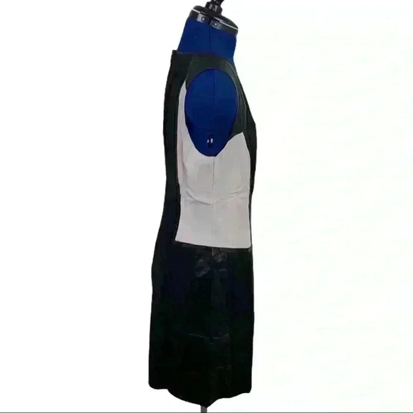 🆕NWT Lucy Paris color block dress Size L - Picture 4 of 10